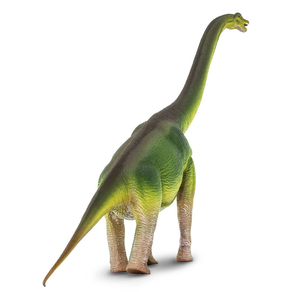A Brachiosaurus toy featuring green and brown coloring, with a long neck and tail, stands upright on four legs and is positioned slightly facing right against a white background.