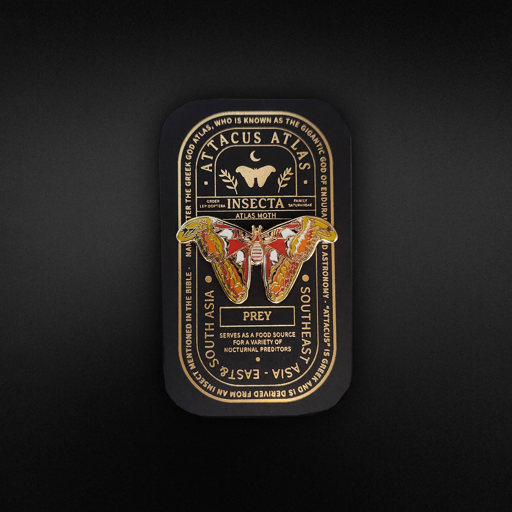Showcase your Atlas Moth Educational Insect Enamel Pin or a cherished insect pin in this elegant black tin, accented with gold and tan trim. The design features an illustration of the Atlas moth, its scientific name, origin, and use as food set against a dark background—making it a perfect nature-inspired gift.