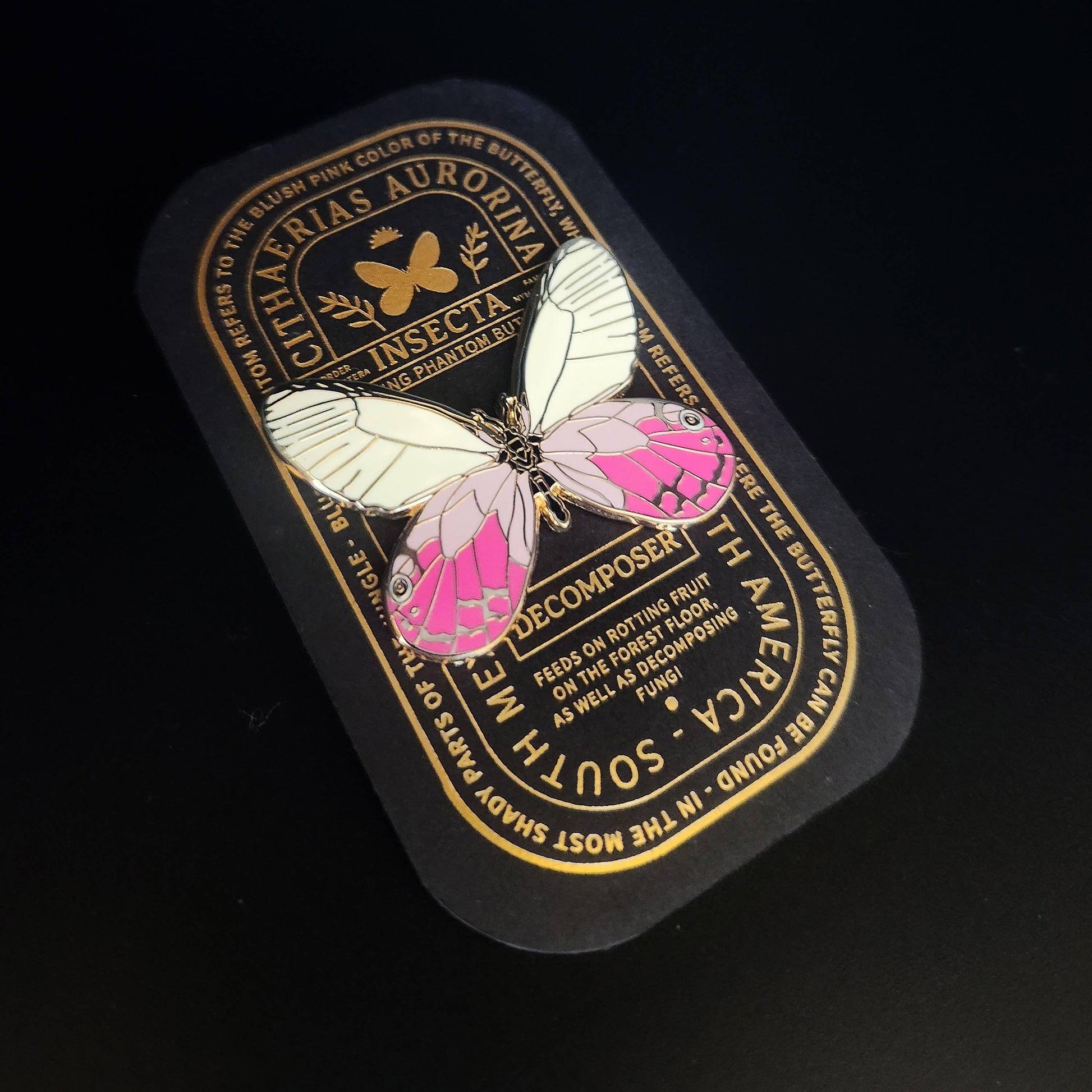 The Blushing Phantom Butterfly Educational Insect Enamel Pin, featuring delicate white and pink butterfly wings, is displayed on a striking black and gold card adorned with insect and butterfly-themed text. This rare enamel pin makes an eye-catching accessory against the elegant black background.