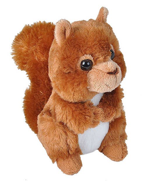 A plush toy squirrel with brown fur, a bushy tail, and a white belly, sitting upright with its small paws near its chest and large, shiny black eyes—this Hug'Ems-Mini Red Squirrel Stuffed Animal 7" is a realistic stuffed animal that perfectly captures the charm of these adorable woodland creatures.