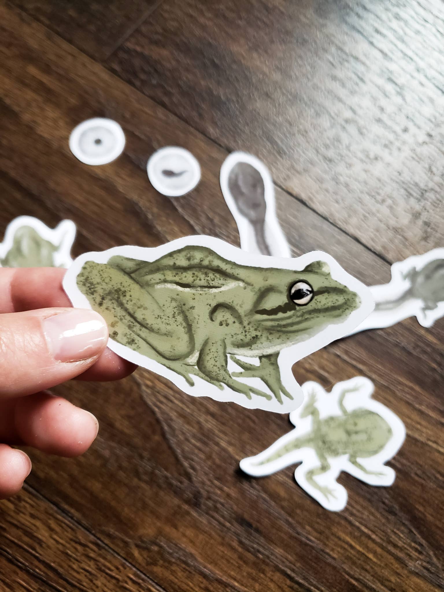 Hand holding a frog sticker with others in the background.