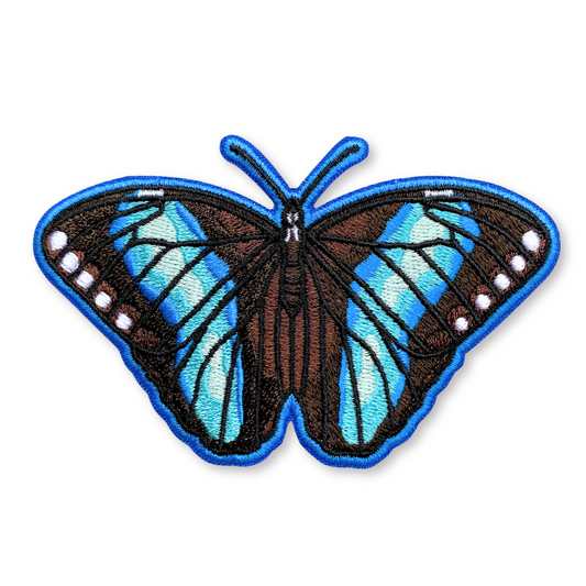 Achilles Morpho Butterfly iron-on embroidered patch with brown wings featuring bright blue accents and a blue border.