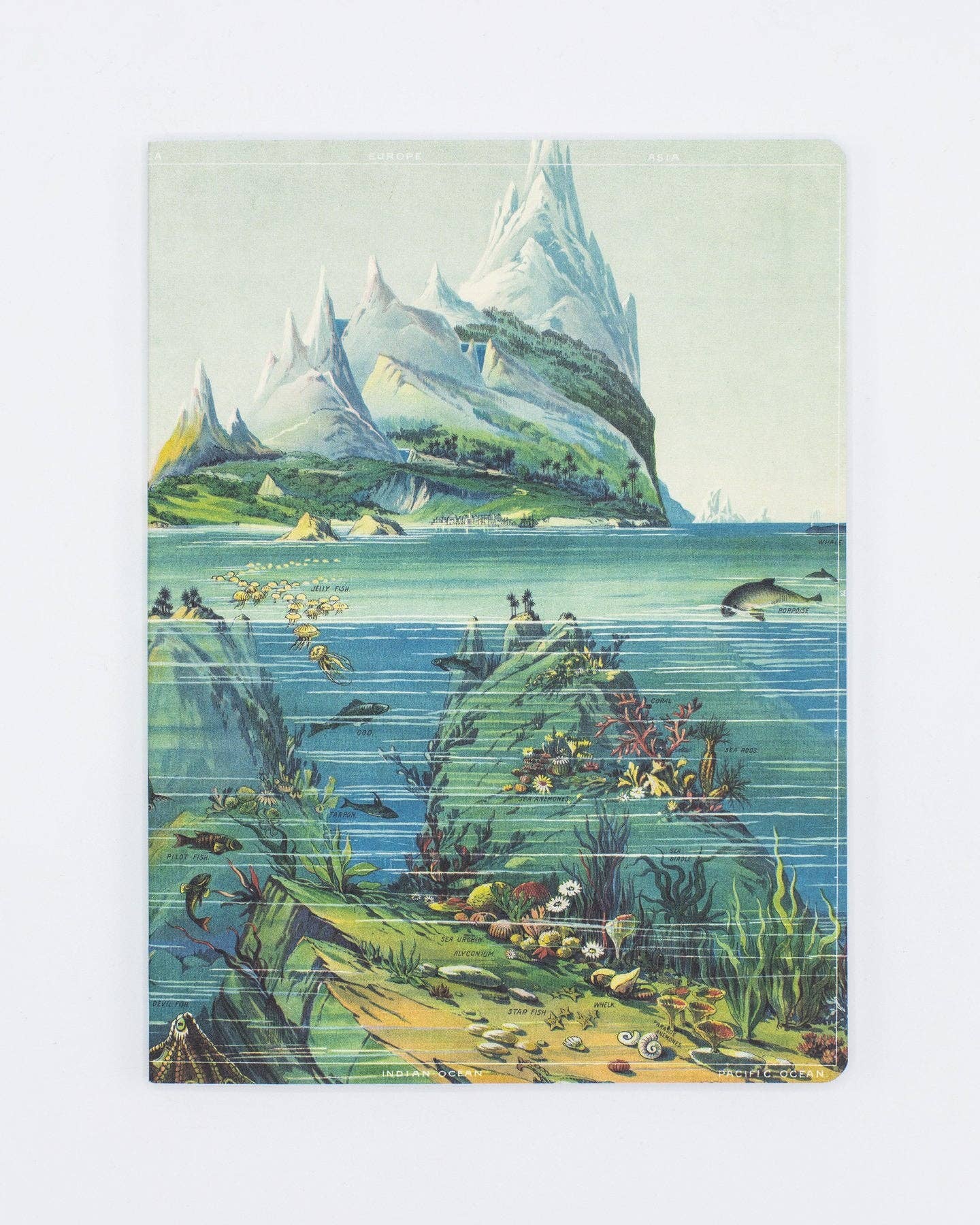 Descending Regions softcover notebook with an ocean illustration cover.