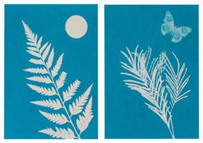 Two cyanotype prints made with the Outdoor Discovery Solar Print Kit: the left shows a white fern and circle on blue, while the right features white palm leaves and a butterfly, all on solar print paper.
