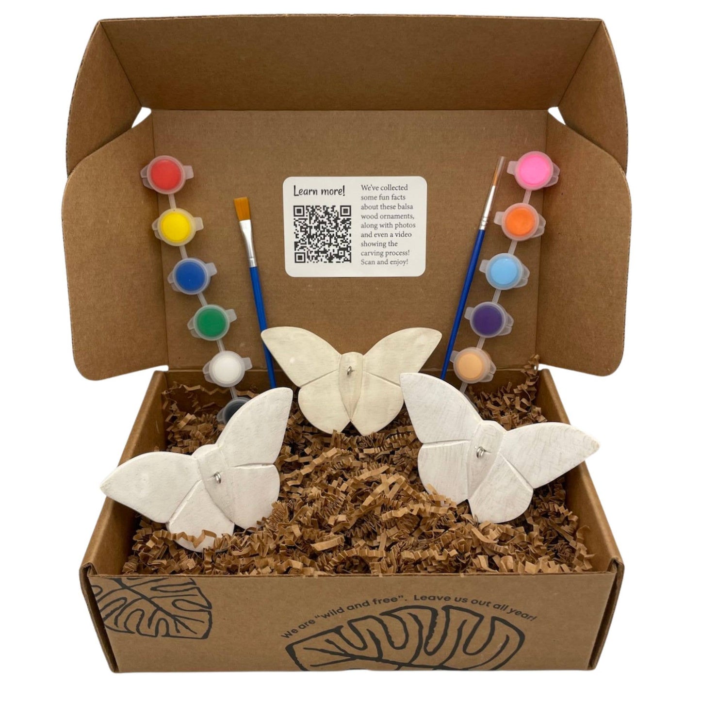 Paint Your Own Butterfly Ornament Kit