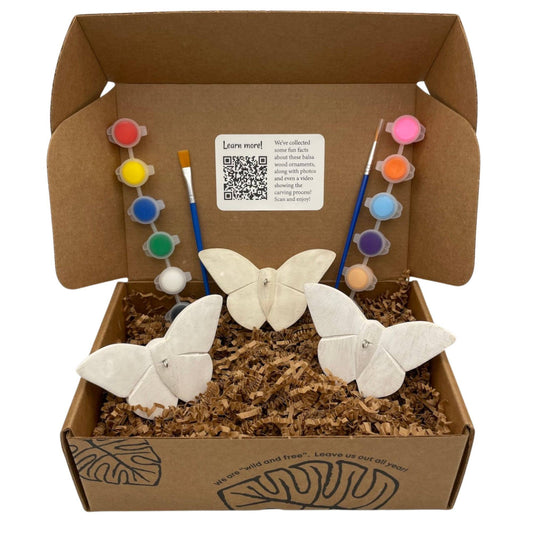 Paint Your Own Butterfly Ornament Kit