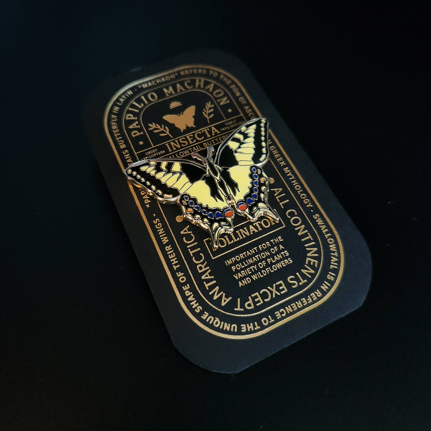 The Swallowtail Butterfly Educational Insect Enamel Pin showcases the iconic yellow and black wings of the Papilio machaon, displayed on a black and gold card with scientific insights into this species and pollination—making it an elegant butterfly gift ideal for nature lovers.