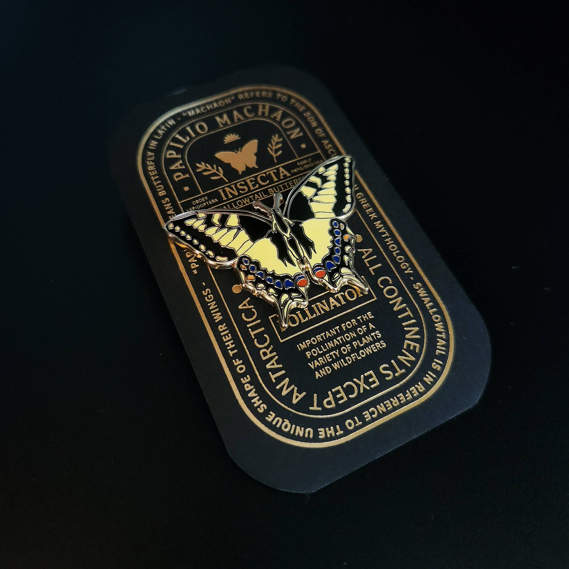 The Swallowtail Butterfly Educational Insect Enamel Pin showcases the iconic yellow and black wings of the Papilio machaon, displayed on a black and gold card with scientific insights into this species and pollination—making it an elegant butterfly gift ideal for nature lovers.