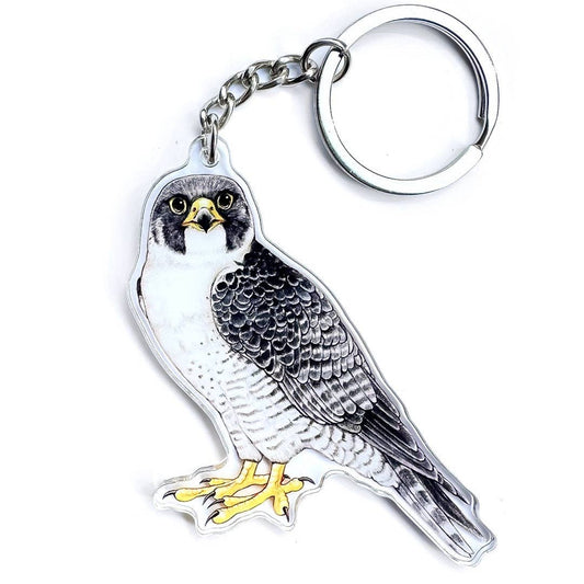 Peregrine Falcon Double-Sided Acrylic Keychain