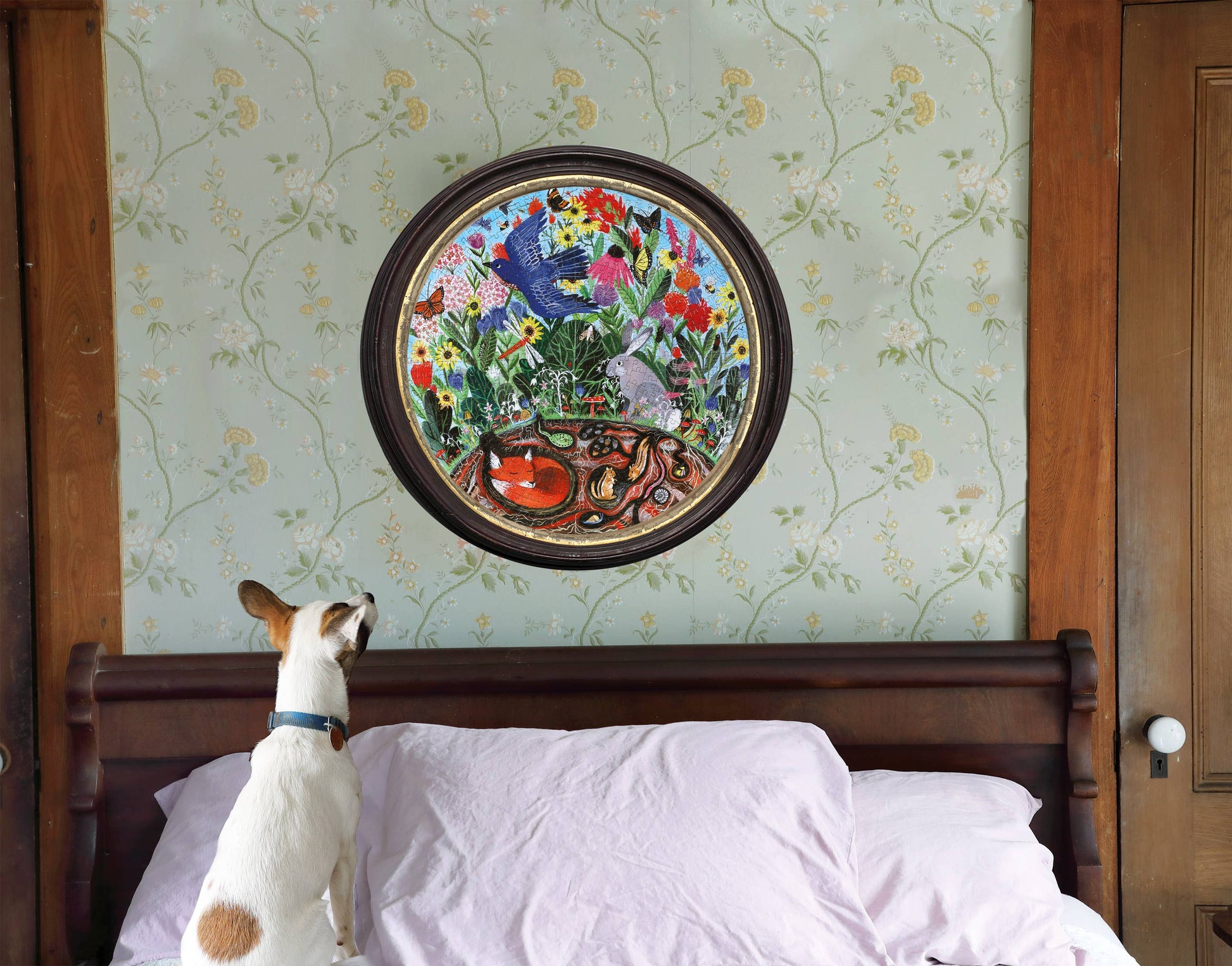 A small dog stands on a bed with rumpled white sheets, gazing up at the Rewilding 500 Piece Puzzle—a round, colorful illustration of garden animals, flowers, birds, and snakes—hanging on the wallpapered wall above.
