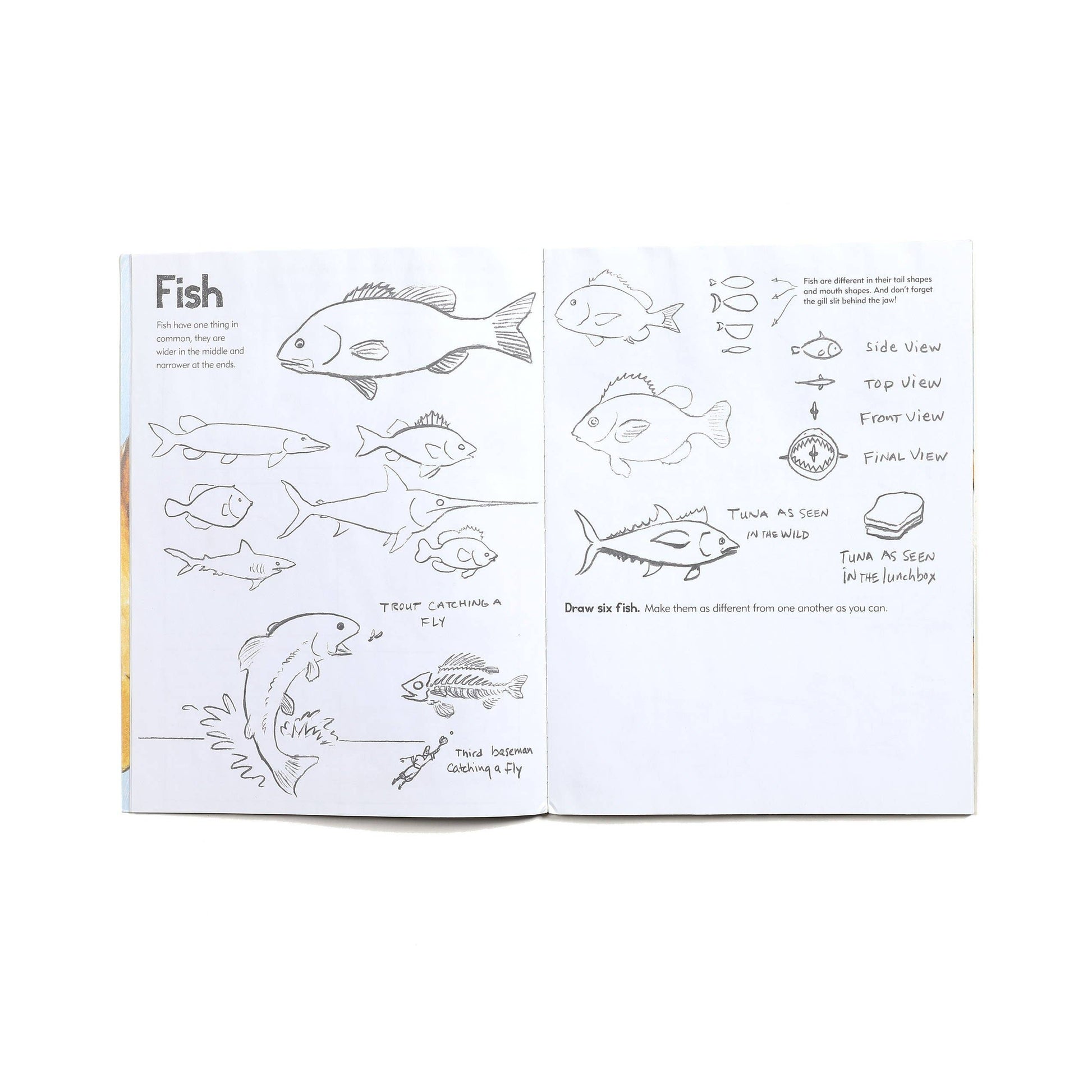 The Learn to Draw Animals Art Book by Kevin Hawkes features step-by-step pencil sketches of fish from various angles, including a jumping fish catching a fly, with clear instructions and labels on each page.