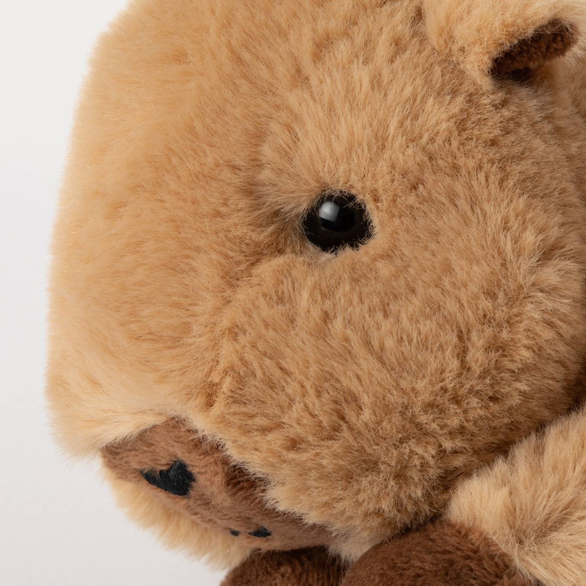Close-up of the Scoopz Capybara Small 8″ (21cm) plush—a soft, light brown stuffed animal with black eyes and a dark brown nose, reminiscent of a capybara or wombat, against a white background—ideal as safari nursery decor or a cute addition to your capybara collection.