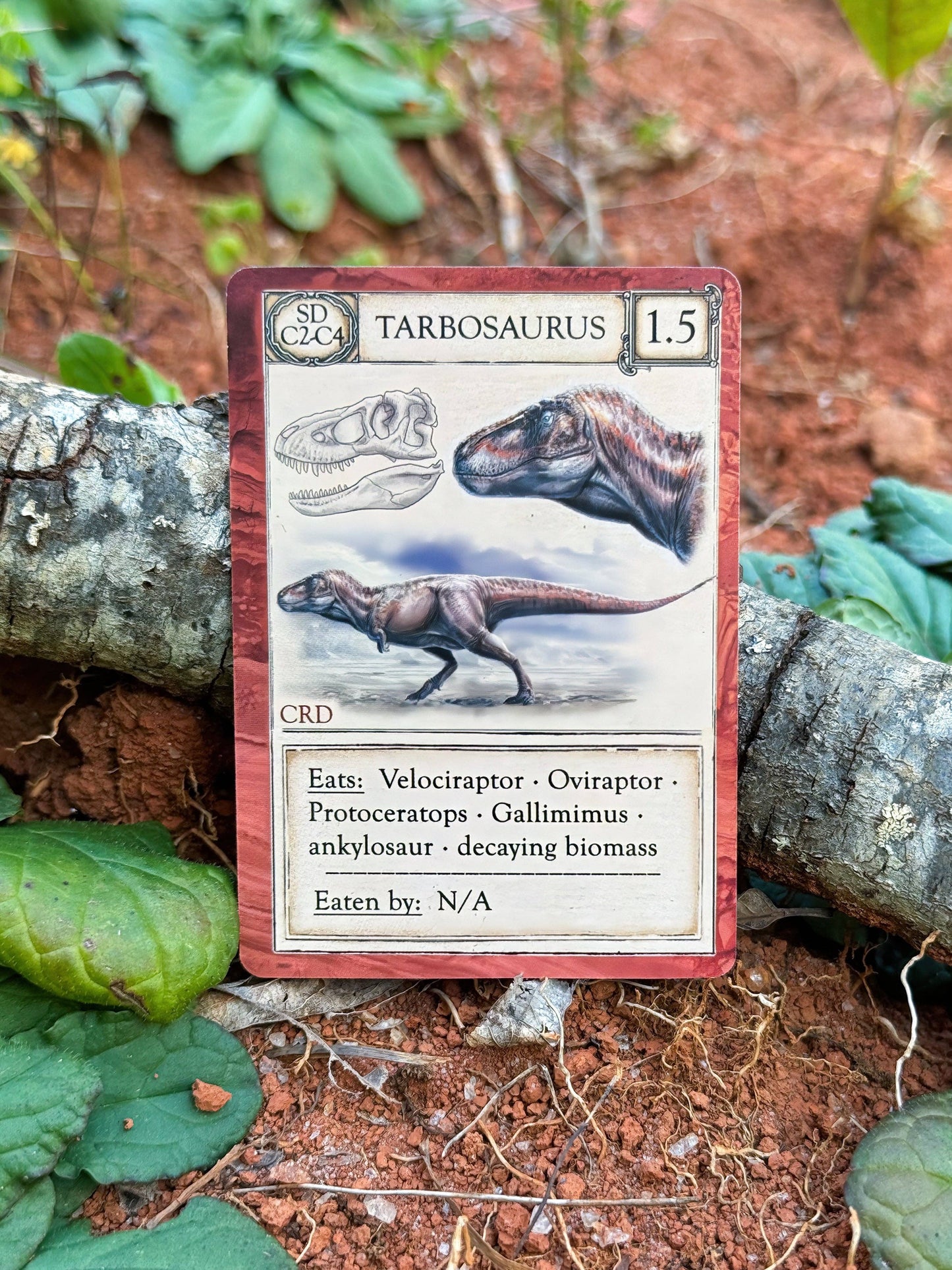 A trading card from Ecologies: Ancient Areas featuring a Tarbosaurus illustration, dinosaur skull, and details about its prey—ideal for building ancient food webs. The card is set on red soil with surrounding plants, small green leaves, and a tree branch in the background, evoking the feel of prehistoric ecosystems.