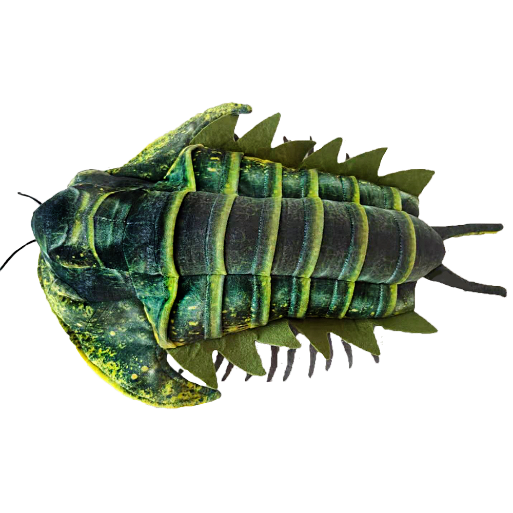 The Trilobite Plush 12" Stuffed Animal Collectible Fossil Toy features green and yellow colors, a segmented body, ridged back, head shield, and leg-like appendages, resembling an ancient fossil. Displayed on a white background.