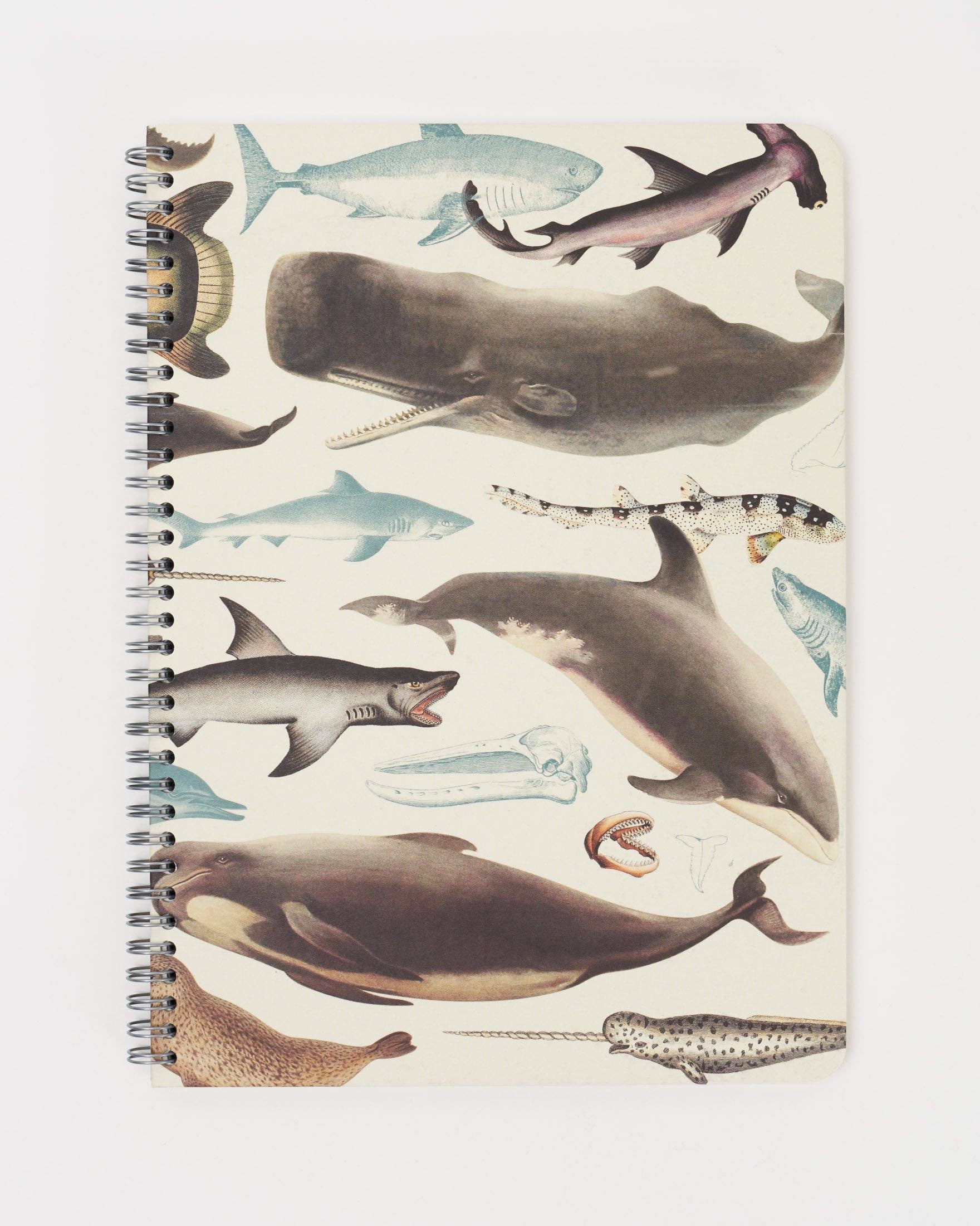 The front of a spiral-bound notebook with illustrations of various aquatic megafauna including whales.