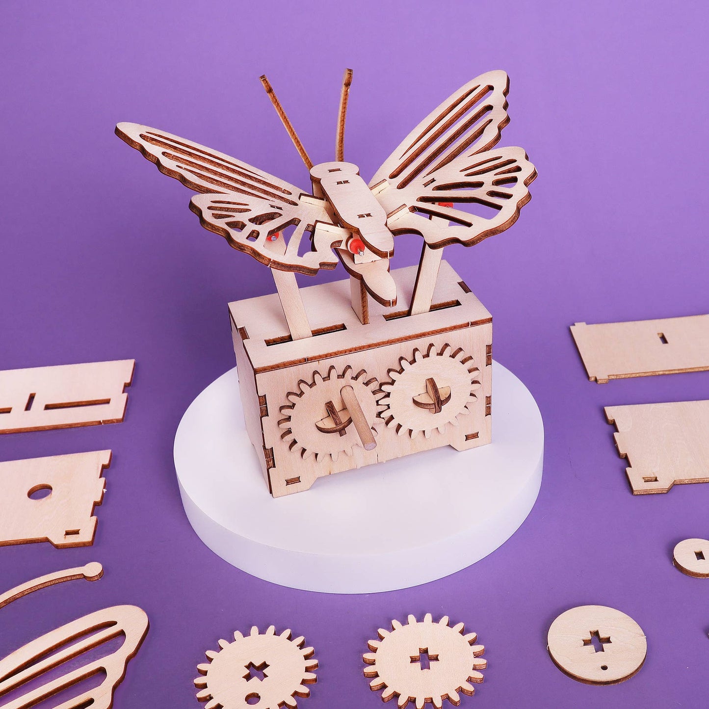 Fluttering Butterfly DIY Kit