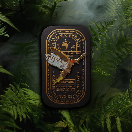 The Eastern Firefly Educational Insect Enamel Pin, designed to resemble the Photinus pyralis species, sits atop a sleek black tin adorned with gold text. Surrounded by lush green ferns and wisps of mist, the tin highlights scientific details about this fascinating firefly, making it an ideal entomology gift for nature enthusiasts and collectors alike.