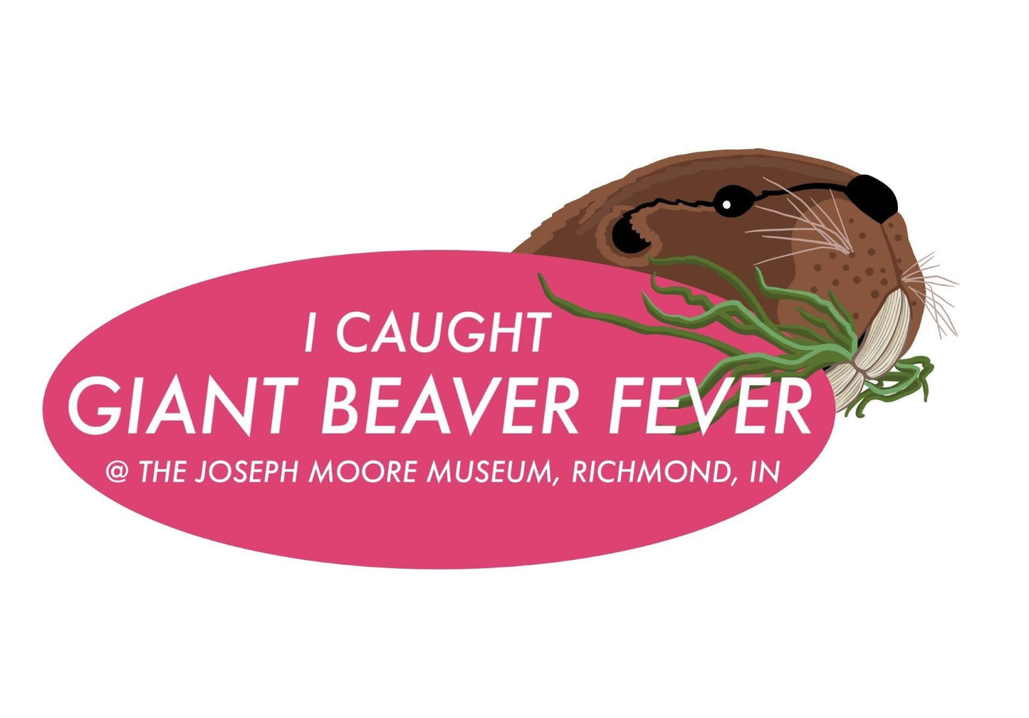 Illustration of a giant beaver holding plants in its mouth, beside a pink oval that reads: Giant Beaver Fever - small pink sticker, available at The Joseph Moore Museum, Richmond, IN.
