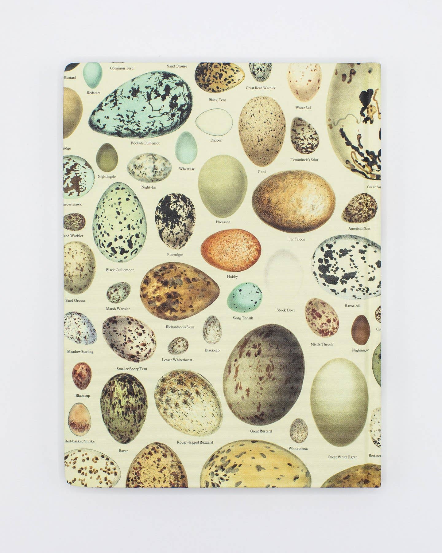 Eggs Hardcover - Dot Grid Page Notebook