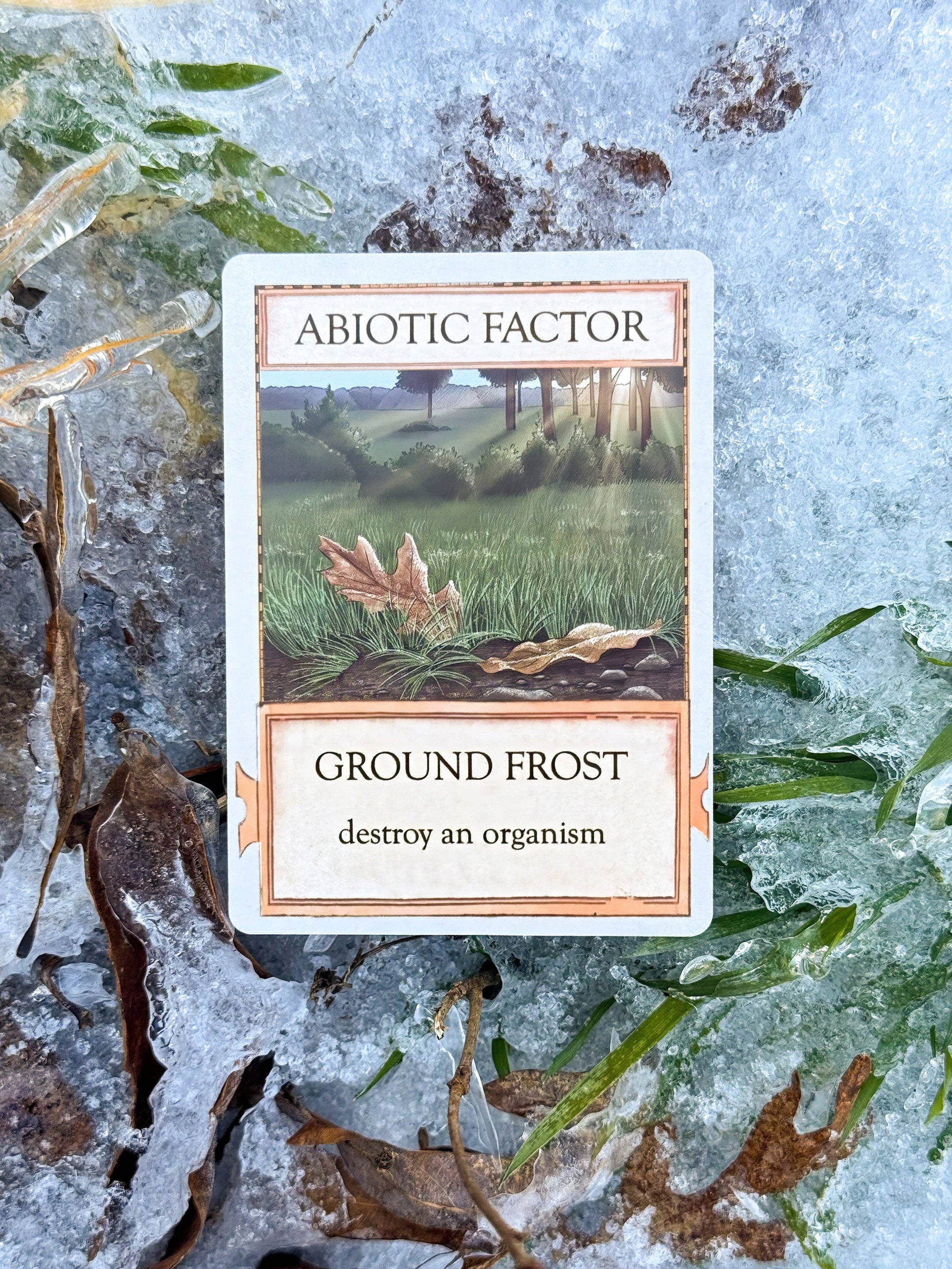 A card from Ecologies: Marvelous Microbes depicts a frosty landscape with grass, fallen leaves, and sunlight filtering through trees. The card reads “Abiotic Factor: Ground Frost – destroy an organism,” making it perfect for exploring microscopic food webs in your next scientific card game.