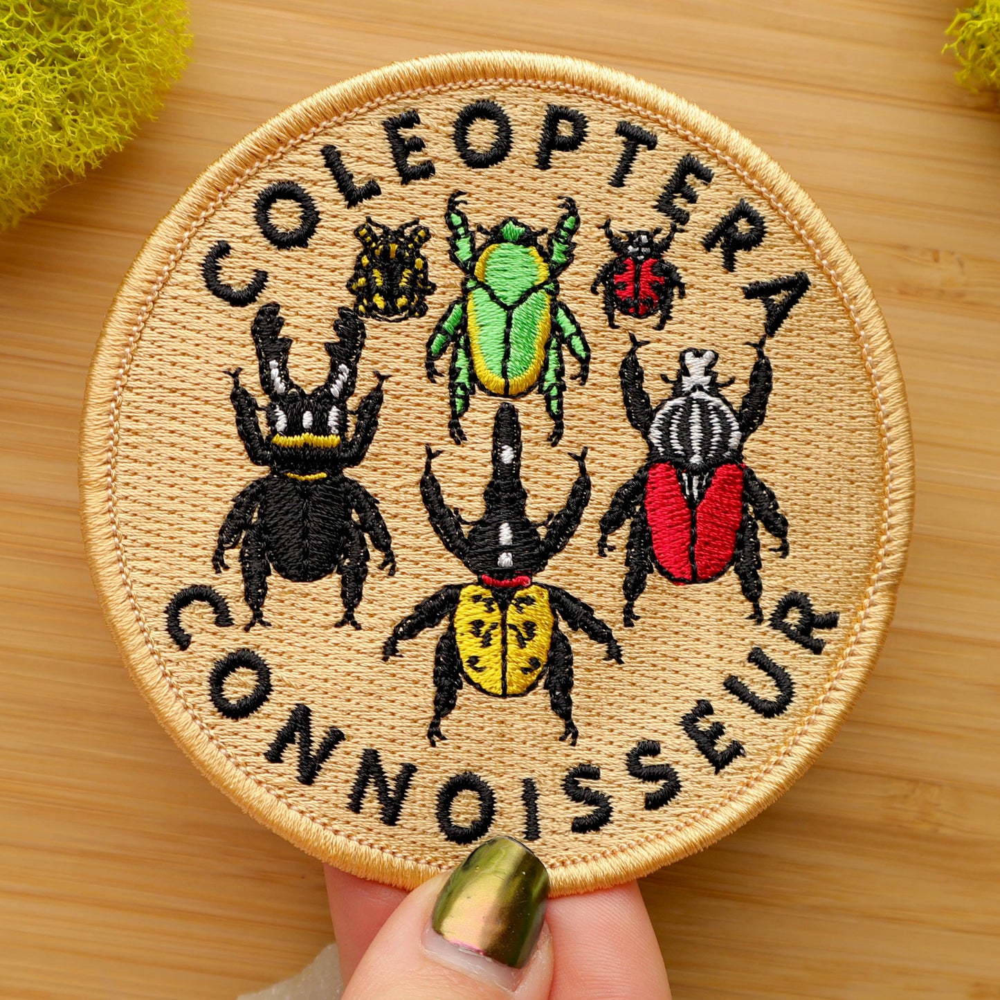 The Coleoptera Connoisseur Iron-on Patch features six colorful beetle illustrations and the words “Coleoptera Connoisseur” embroidered on a tan background. Shown held in hand over a wooden surface.