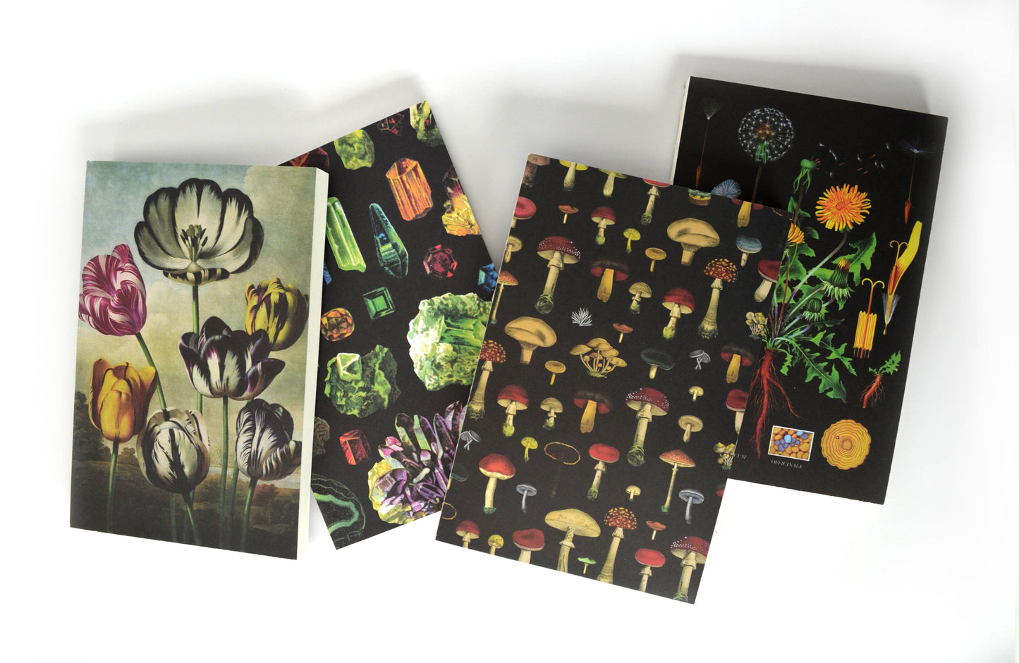 Four notebooks are arranged on a white surface. Their covers display tulips, colorful gemstones, the Vintage Black Mushroom Exposed Coptic Binding Notebook for mycology fans, and a botanical drawing of yellow flowers.