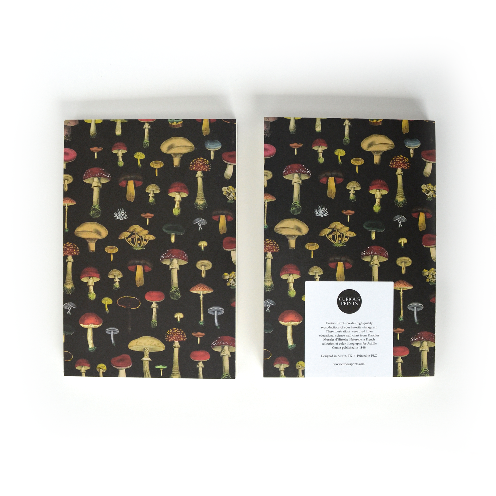 Two Vintage Black Mushroom Exposed Coptic Binding Notebooks with colorful mushroom designs on a black cover—one displays the front, the other shows the back featuring a white label and black circle logo.