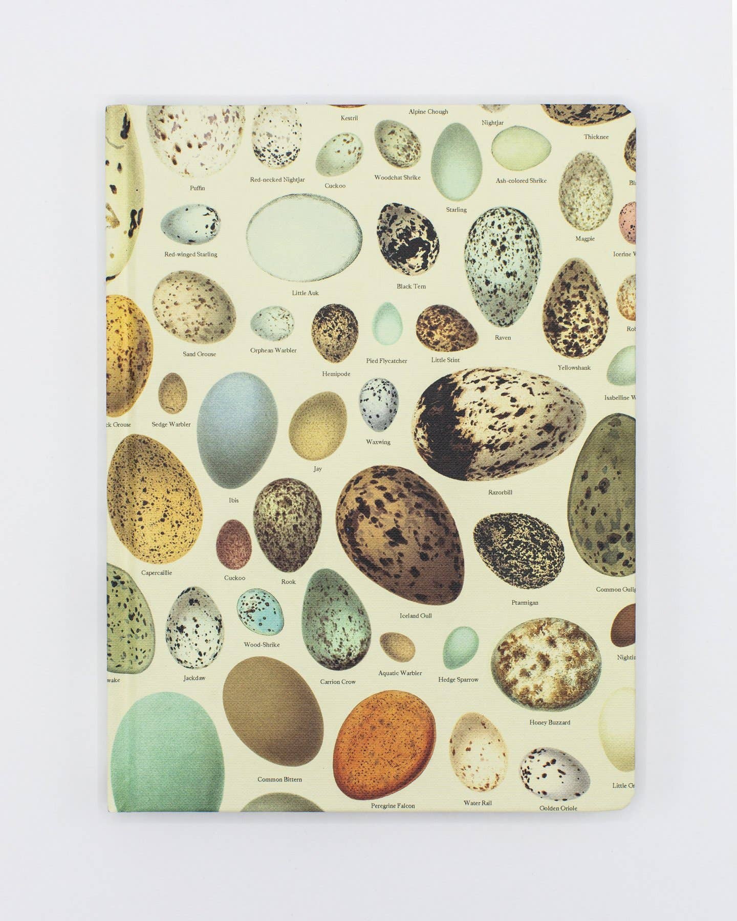 Eggs Hardcover - Dot Grid Page Notebook