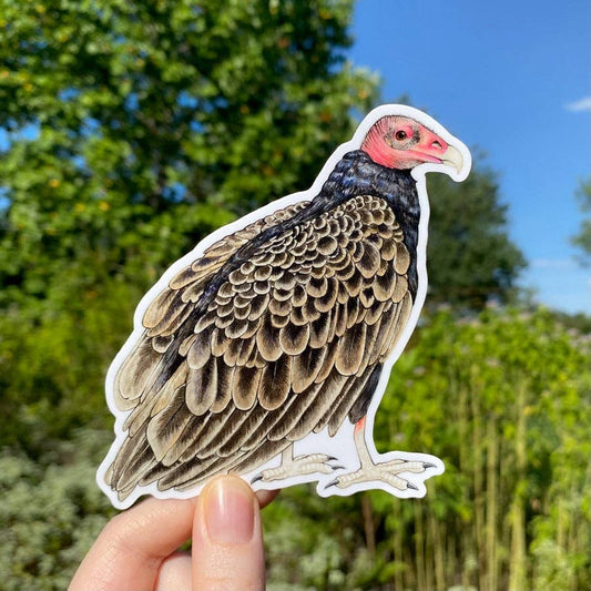 A hand holds a Turkey Vulture Large Weatherproof Vinyl Sticker featuring a turkey vulture with a red head and brown, scalloped-patterned feathers.