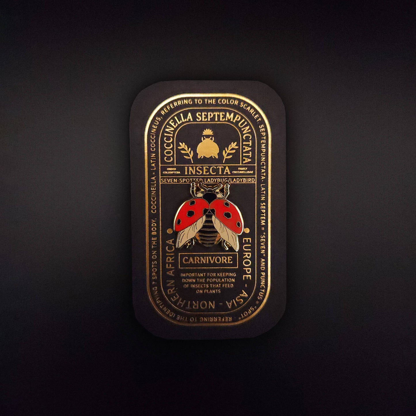 A decorative tin showcases a detailed illustration of a red ladybug with black spots, echoing the charming Seven-Spotted Ladybug Educational Insect Enamel Pin. Glistening gold text highlights its scientific name, natural habitat, and care tips on a dark backdrop, making it ideal for gifting as a good luck charm or for displaying your favorite ladybug enamel pin.