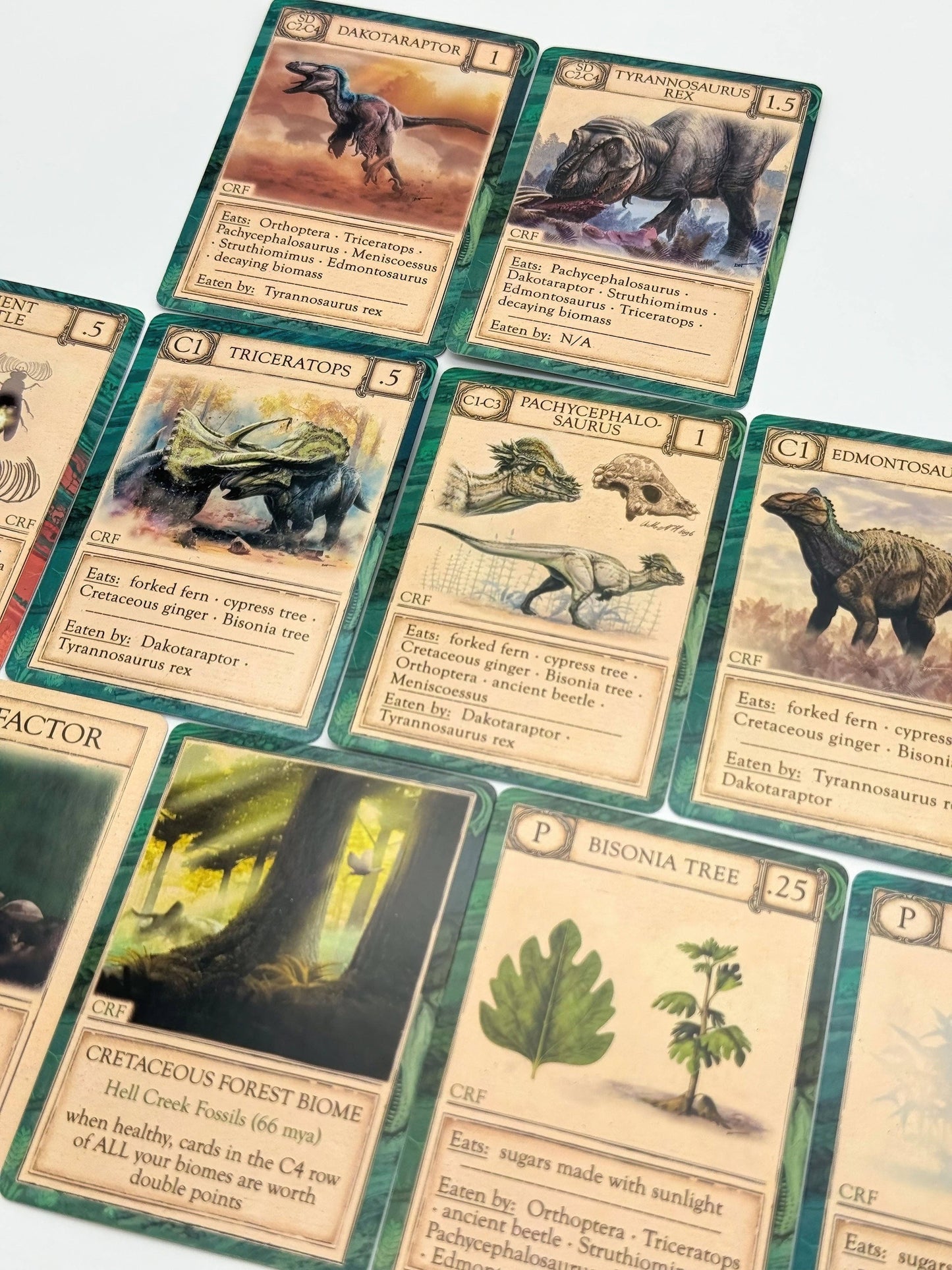 Nine illustrated prehistoric-themed playing cards from Ecologies: Ancient Areas are laid out on a white surface, each depicting information and images of creatures or plants like Triceratops, Tyrannosaurus, and Bisonia Tree. This scientific board game provides insight into extinct ecosystems, letting players explore the captivating world of an ancient food web.
