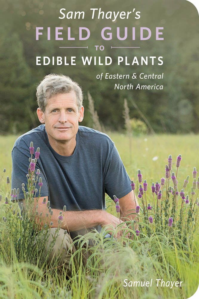 A man sits in a grassy field among purple wildflowers, reading Sam Thayer's Field Guide to Edible Wild Plants—a key resource for foraging edible wild plants in Eastern North America.