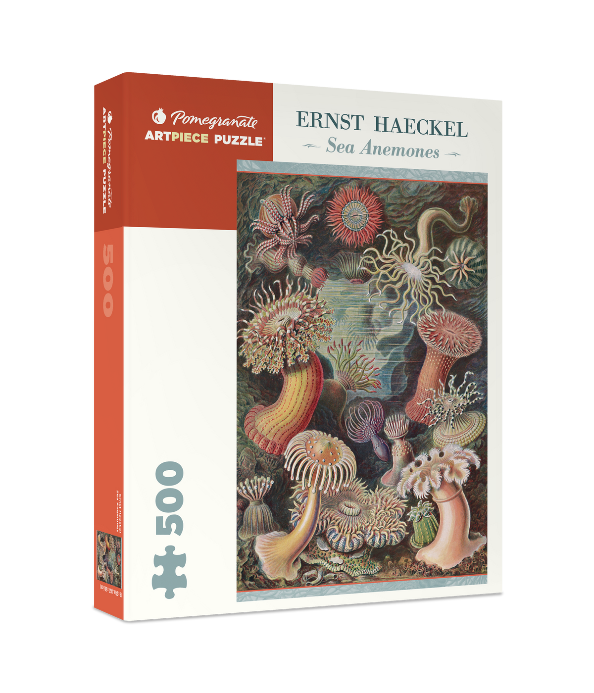 Box for Ernst Haeckel: Sea Anemones 500 pieces, featuring a scientific illustration of various colorful sea anemones.