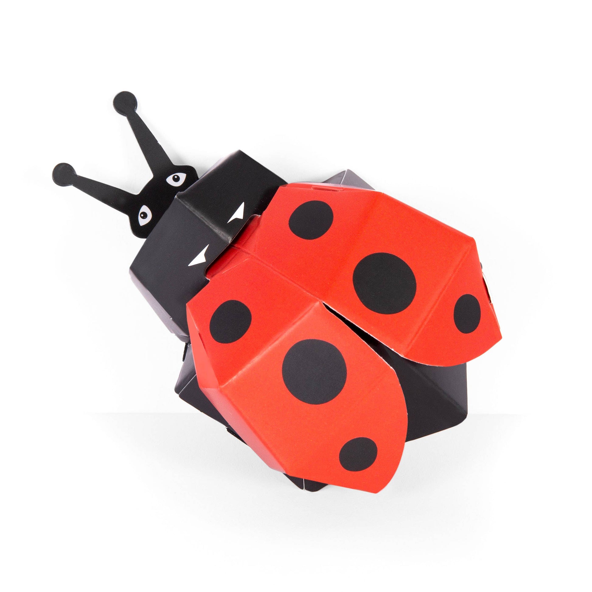 Create Your Own Lovely Ladybird is a paper craft model with red wings, black spots, black antennae, and white eyes—a great plastic-free addition to any ladybird craft kit or toy collection.