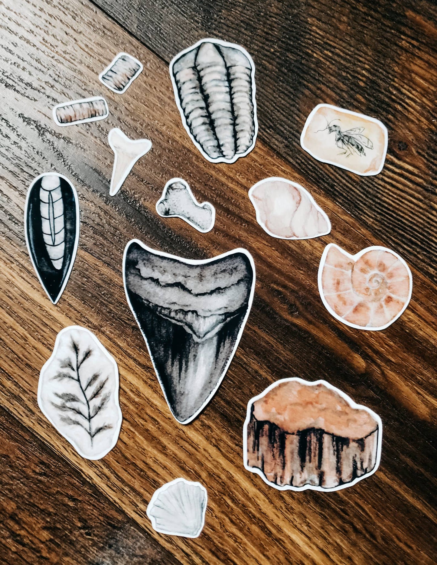 Collection of various fossil stickers. 