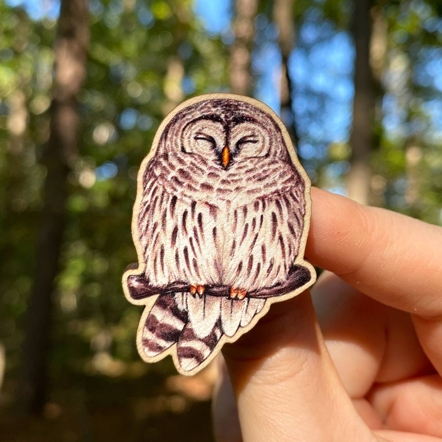 Cozy Barred Owl Wooden Pin  (Sustainably Sourced)