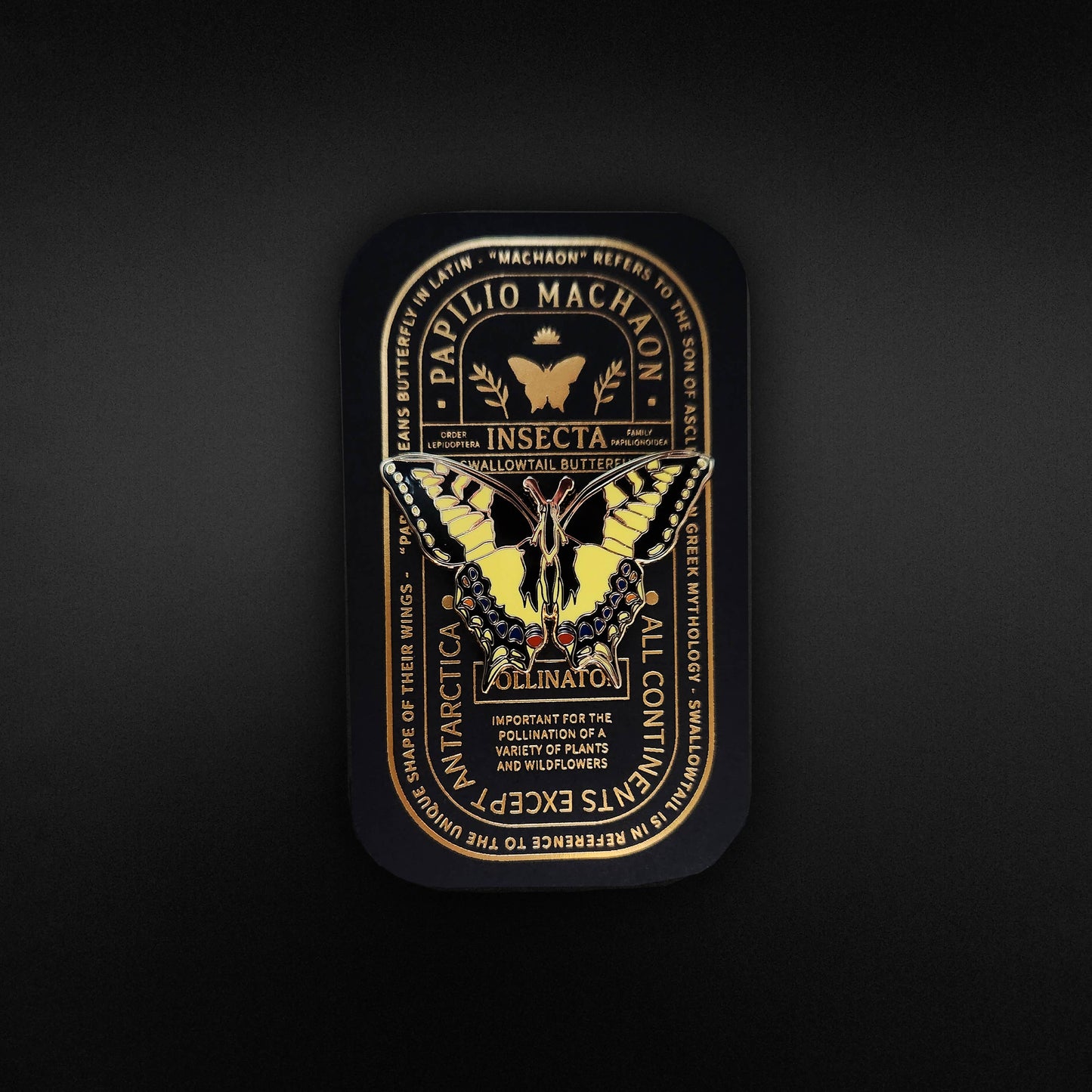 A tin featuring an ornate design displays a yellow and black Swallowtail Butterfly (Papilio machaon) amid gold botanical illustrations and scientific text on a black background—an elegant presentation for the Swallowtail Butterfly Educational Insect Enamel Pin, perfect as a butterfly gift or for collectors of enamel pins.