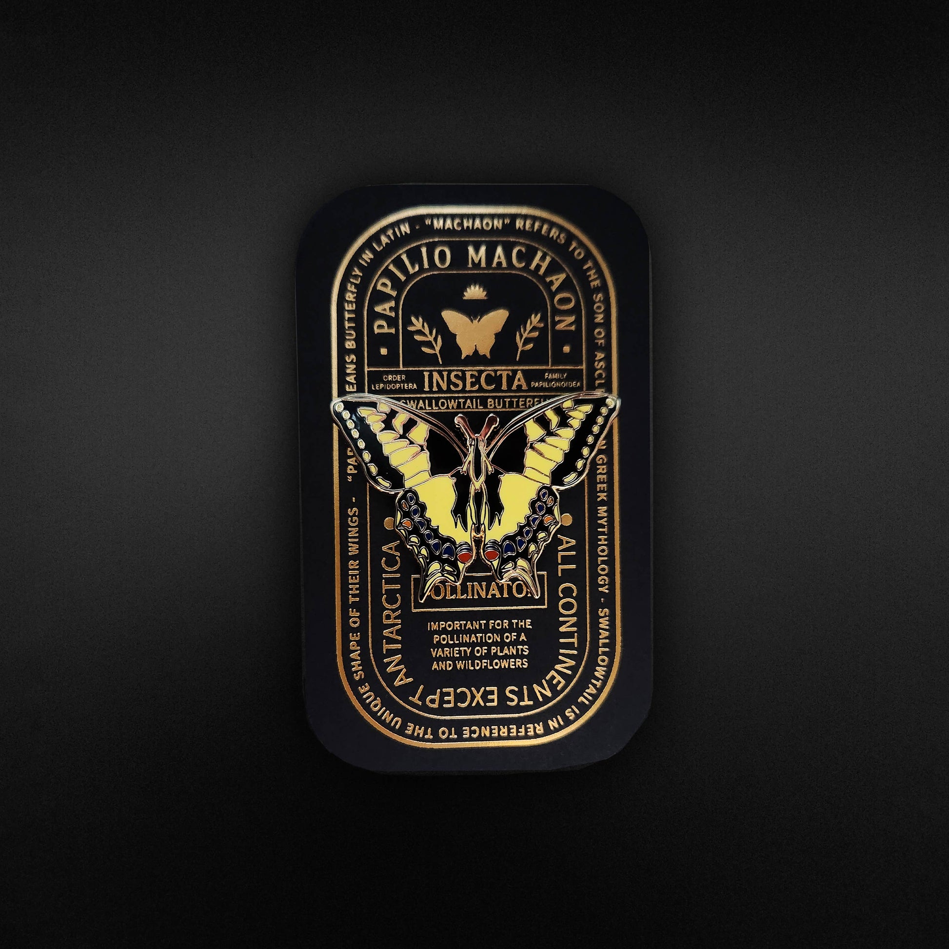 A tin featuring an ornate design displays a yellow and black Swallowtail Butterfly (Papilio machaon) amid gold botanical illustrations and scientific text on a black background—an elegant presentation for the Swallowtail Butterfly Educational Insect Enamel Pin, perfect as a butterfly gift or for collectors of enamel pins.