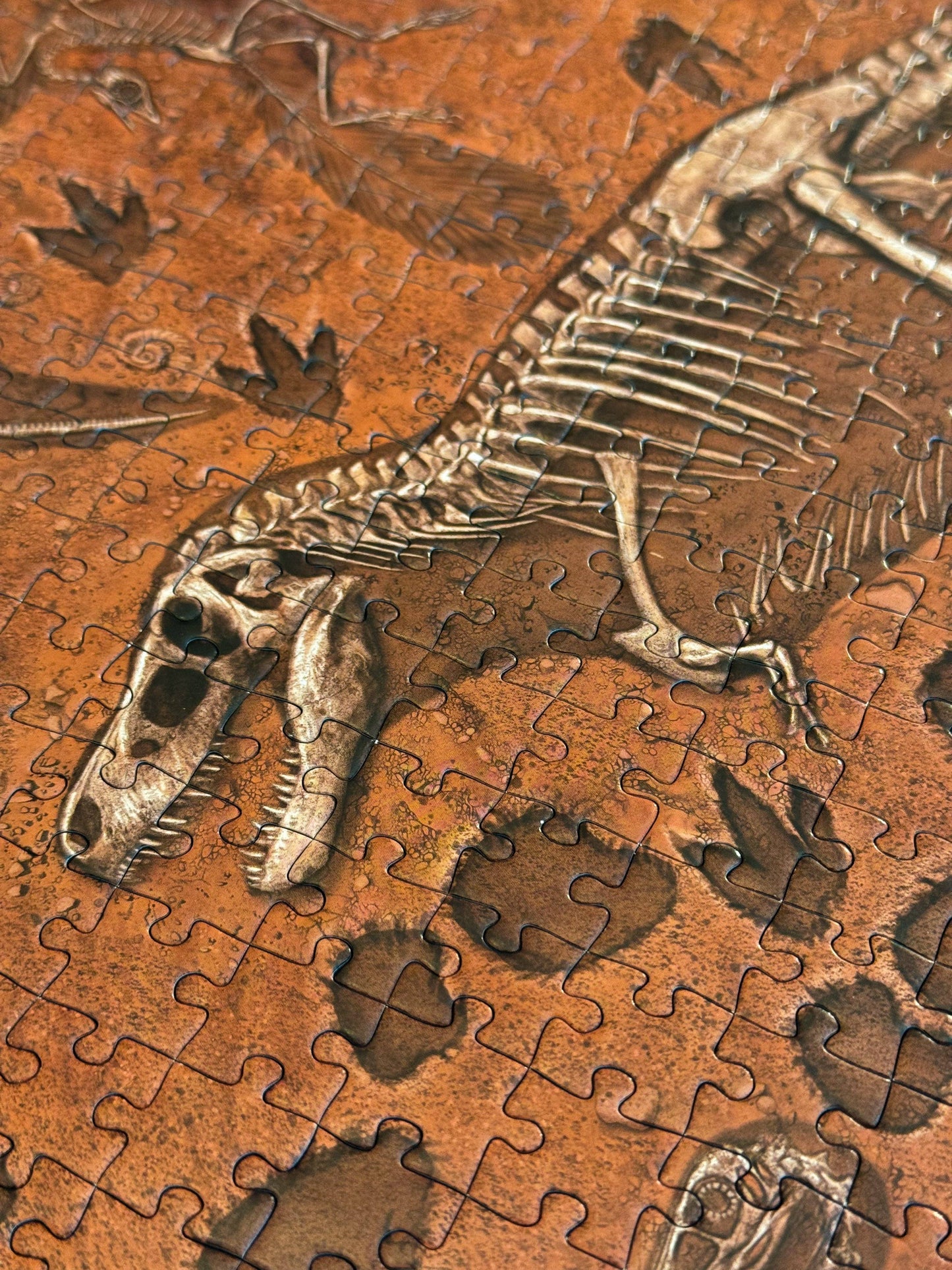 "Famous Fossils" Paleontology Puzzle