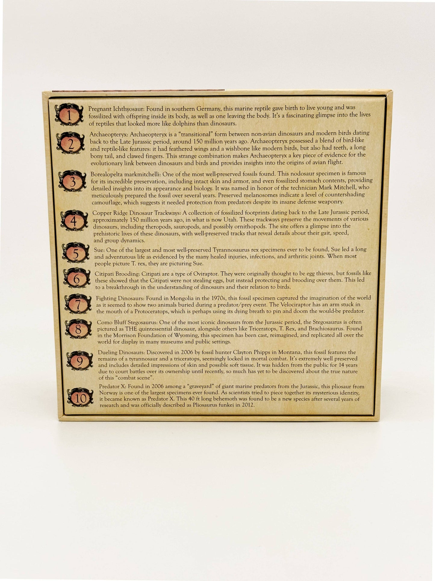 "Famous Fossils" Paleontology Puzzle