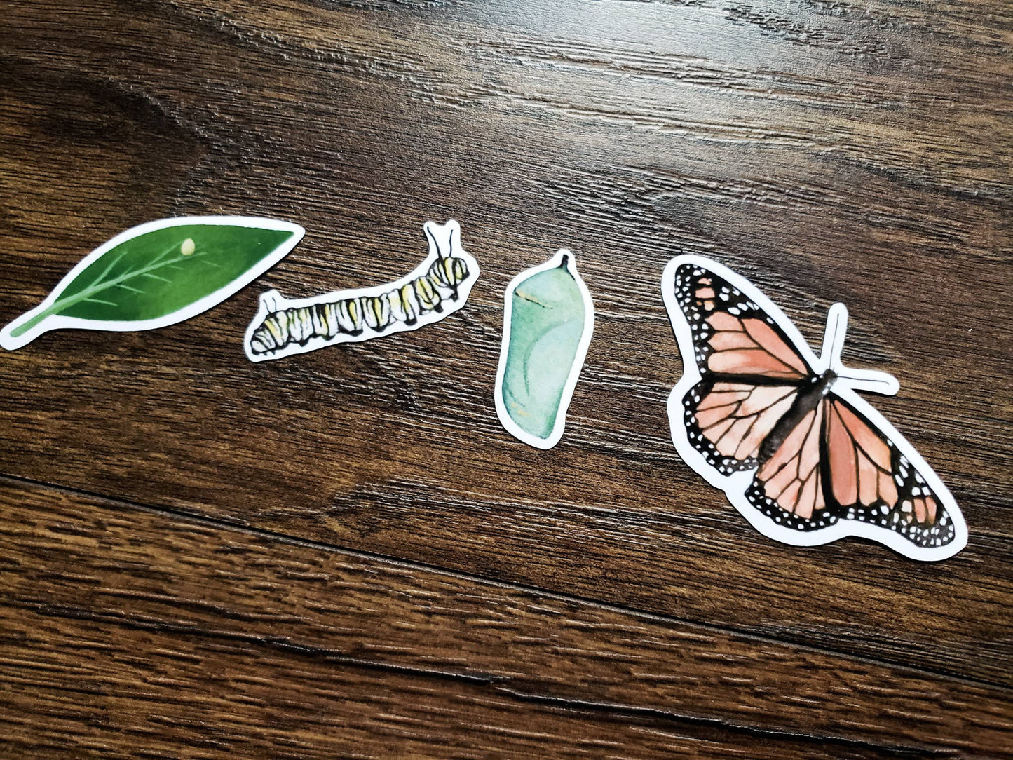 Stickers of a butterfly, leaf, caterpillar, and cocoon.