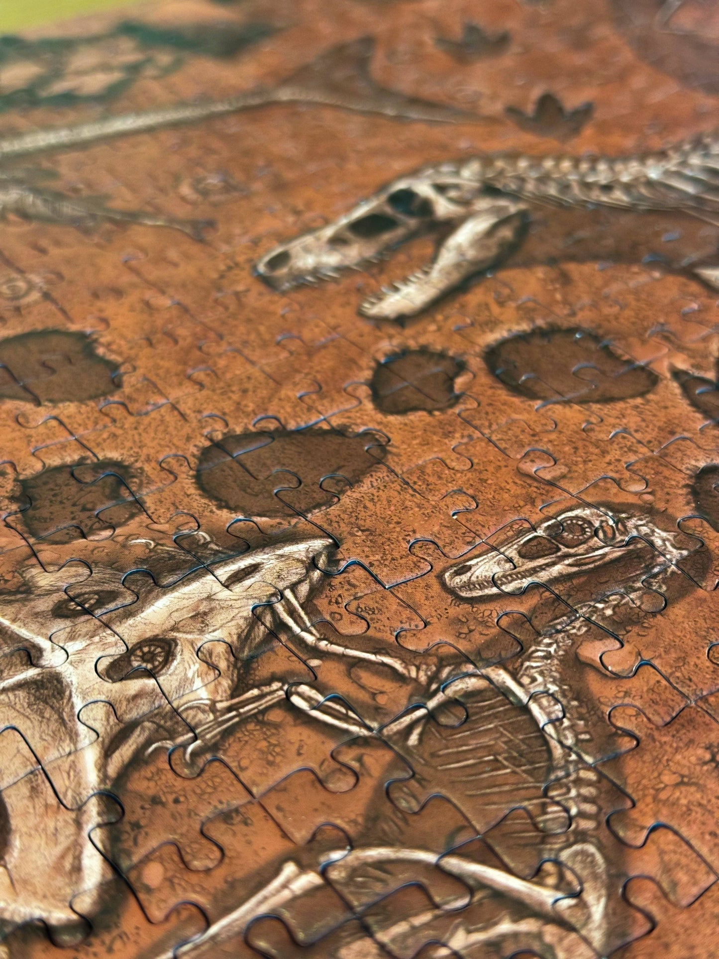 "Famous Fossils" Paleontology Puzzle