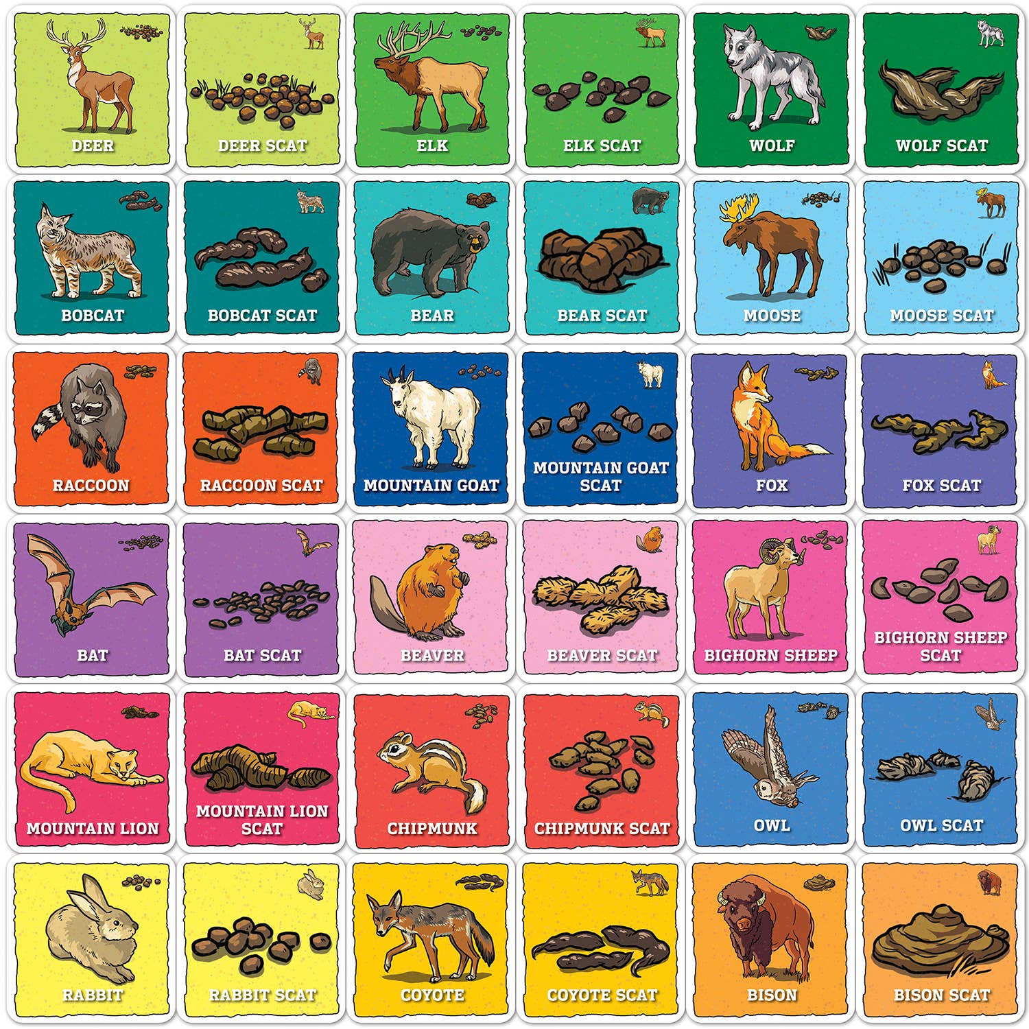 A chart based on the Jr. Ranger - Animal Poop Matching Game features 8 rows of North American animals beside their scat, making a fun visual guide or memory game for kids like a National Park matching game.