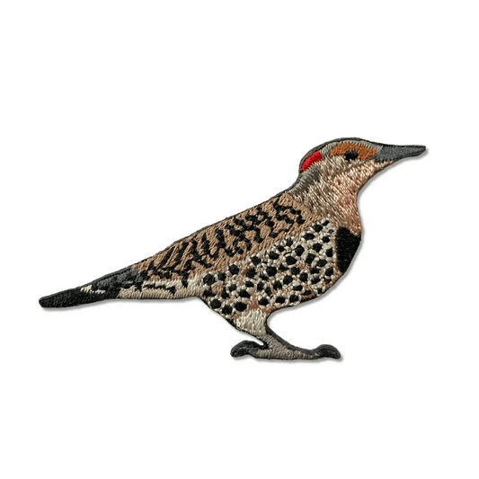 Northern Flicker Patch