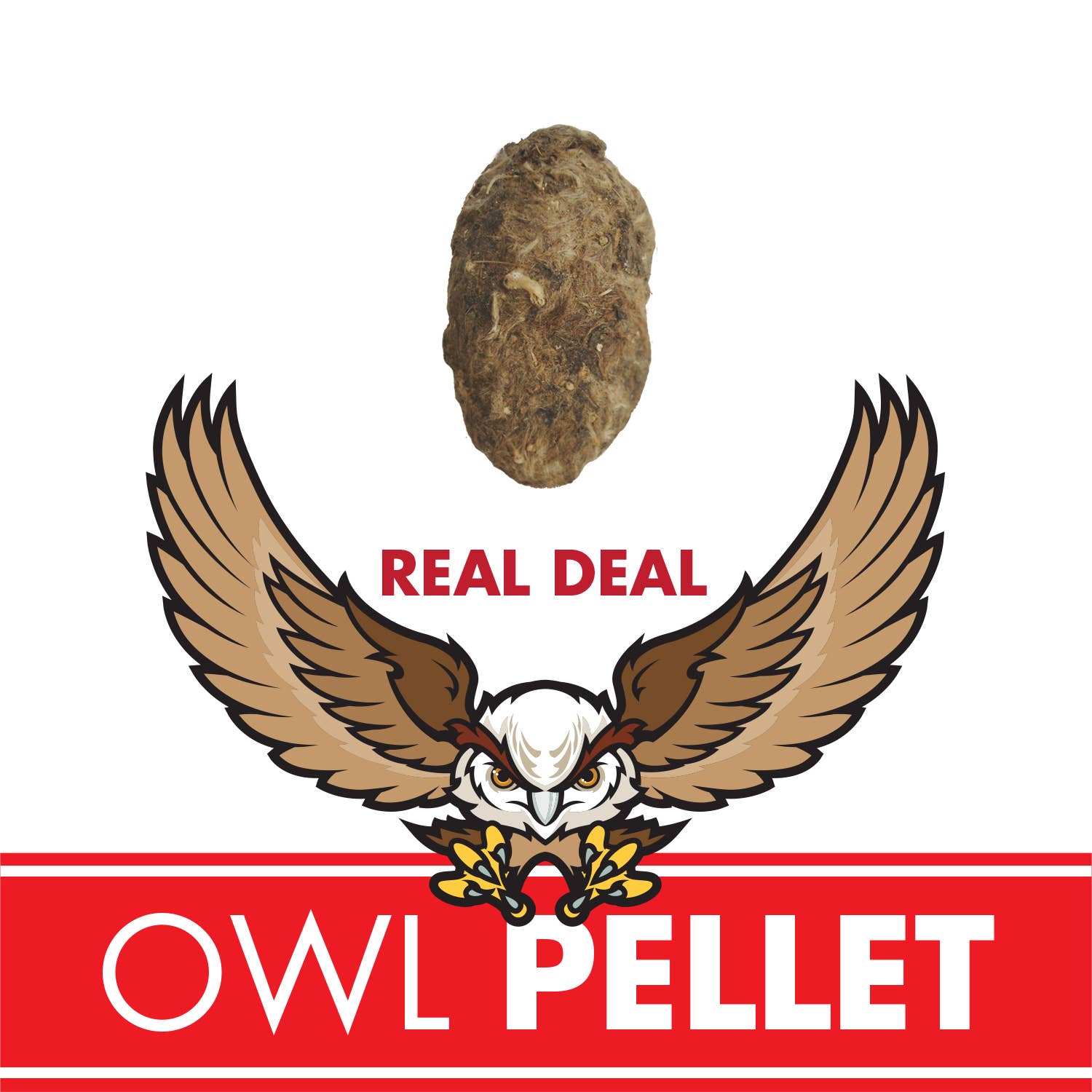 An OWL PELLET sits above a fierce cartoon owl with spread wings. Bold “REAL DEAL” and “OWL PELLET” text pop on a red-white background, emphasizing this unique science toy containing actual skeletal remains.