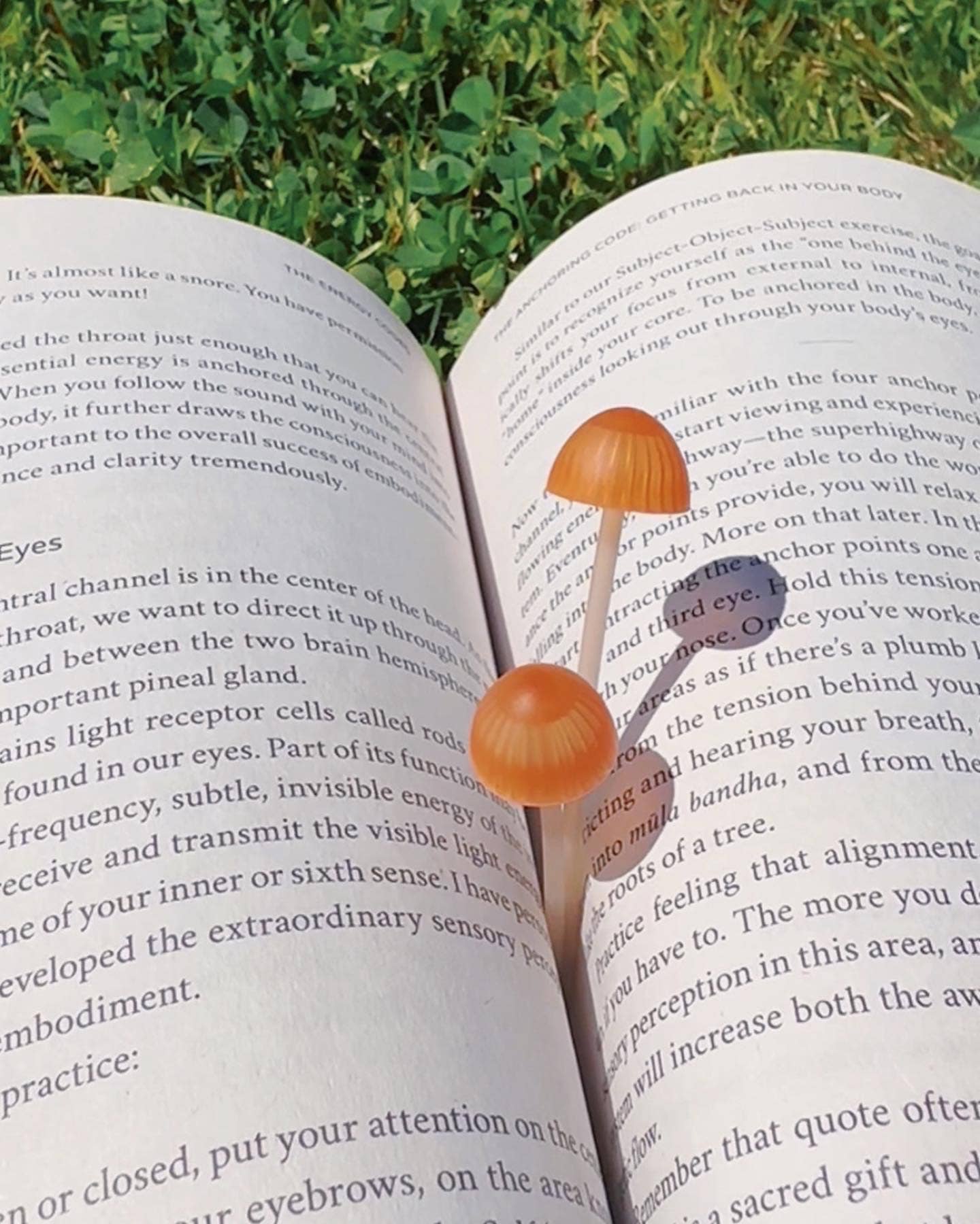 Open book on grass with 2 Magic Sprout mushroom bookmarks in it