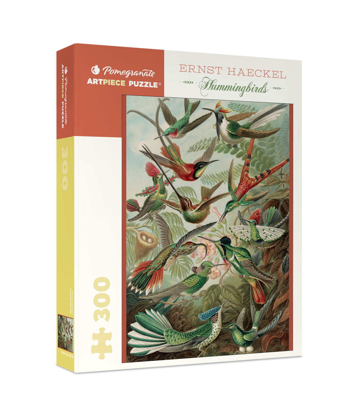 An Ernst Haeckel: Hummingbirds 300-Pieces Art Nouveau puzzle box featuring an illustration of various species of hummingbirds among tropical foliage.