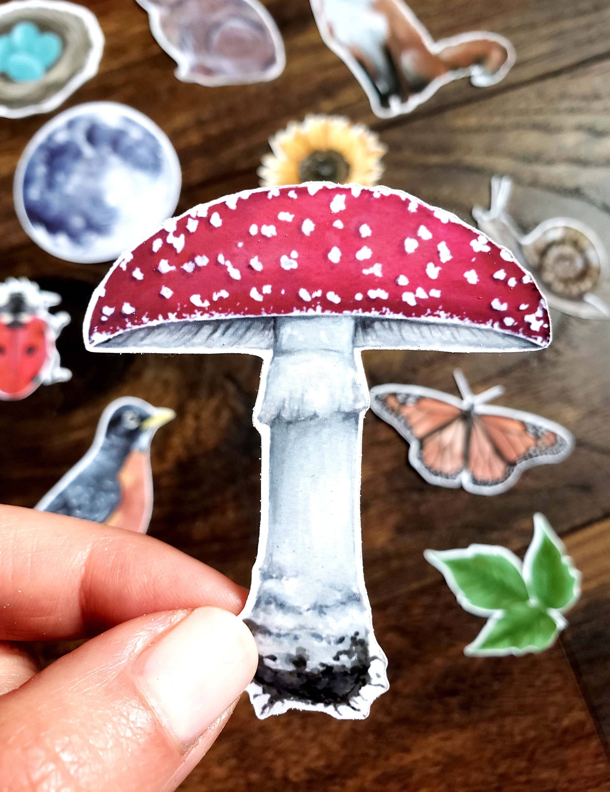 Hand holding a red and white mushroom sticker (other backyard nature stickers in the background).