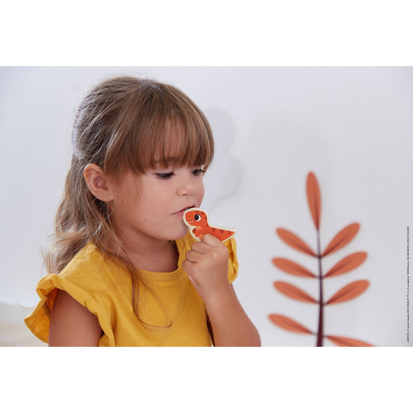 Set of Magnets | Dino | 24 wooden magnetic pieces | toy