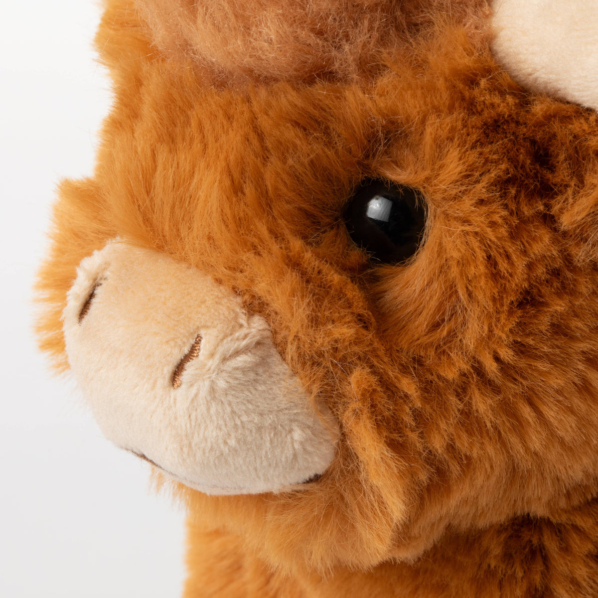 Close-up of the Wild Onez Highland Cow 6″ (15cm) stuffed animal, featuring fuzzy brown fur, a soft beige snout, and a black plastic eye, with part of its face shown against a white background—perfect as a sensory toy or charming farmhouse nursery decor.